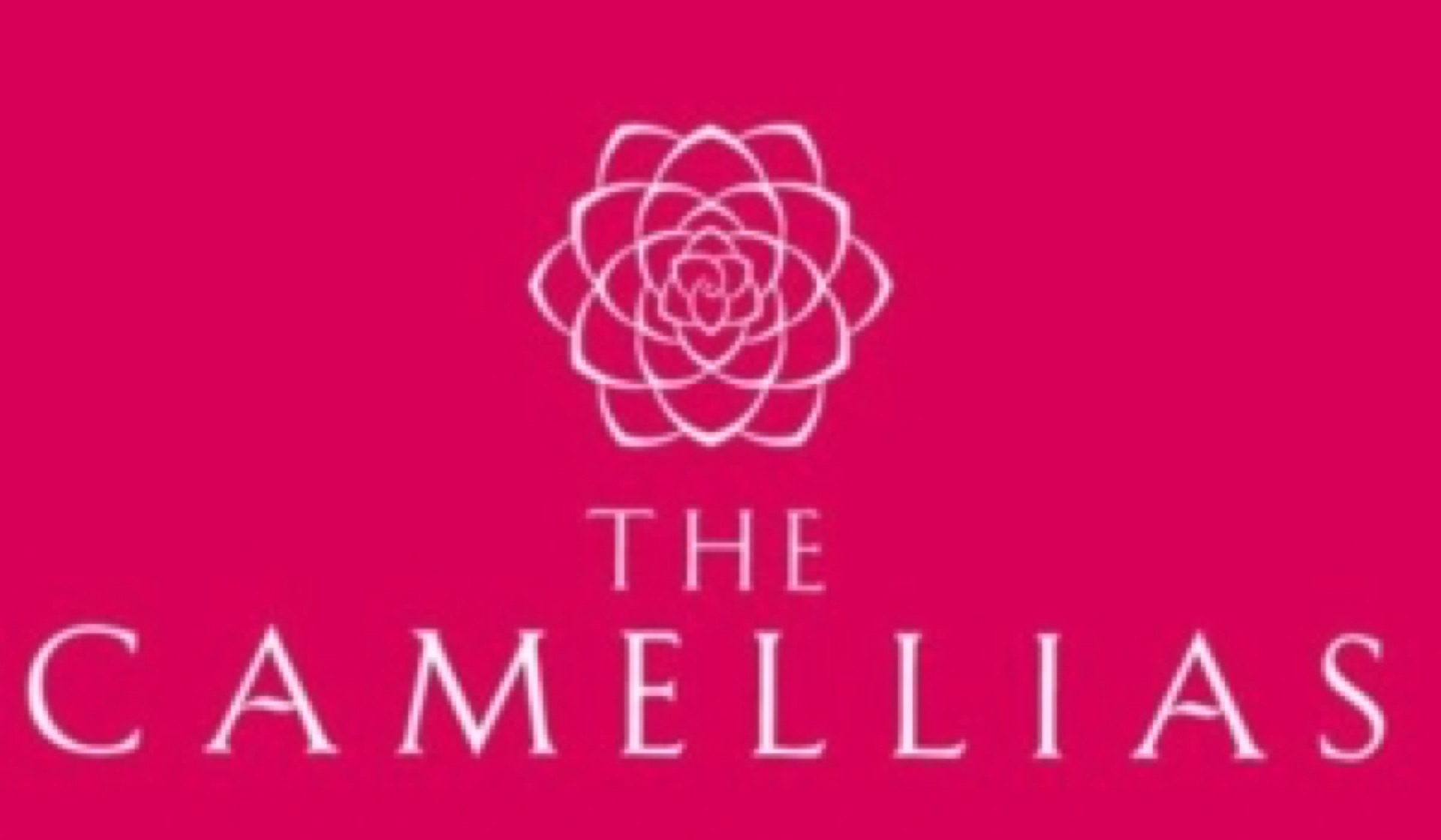 DLF Camellias